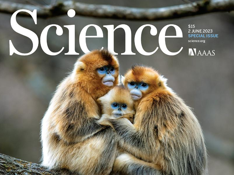 "灵长类基因组计划"取得重大进展 公布27种灵长类动物基因组数据